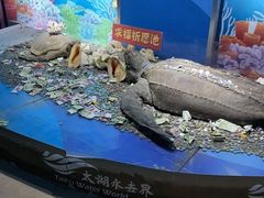 -苏州海洋馆