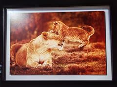 -罗红摄影艺术馆