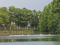 -阳澄湖半岛旅游度假区