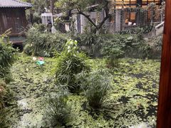 -大妙火锅·非物质文化遗产(东湖公园店)