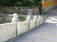 -普陀山风景名胜区-法雨禅寺