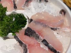 -蒙都43°9羊火锅·赤峰美食(宁城店)