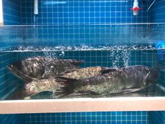 -元银甲·湖北地标美食(汉阳店)