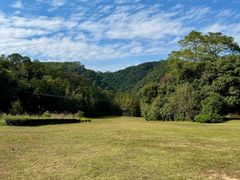 -南宁良凤江国家森林公园