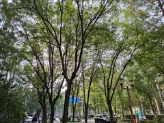 -燕风楼烤鸭店(建设总店)