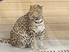 -鄂尔多斯野生动物园