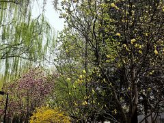 -丰台花园