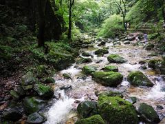-牛背梁国家森林公园