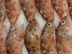 -新丁香海鲜酒店(银海商贸城店)