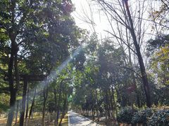 -大蜀山国家森林公园