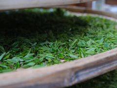 -西湖风景区十里琅珰-五云山