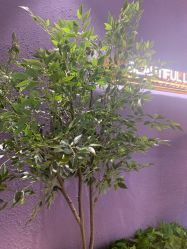 -花隐·美芙炫海菲秀皮肤管理中心