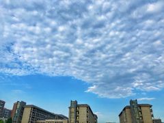 -河南财经政法大学(郑东校区)