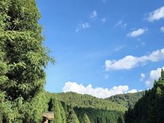 -武陵山森林公园