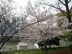 -北外滩滨江绿地