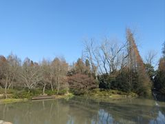 -上海滨江森林公园