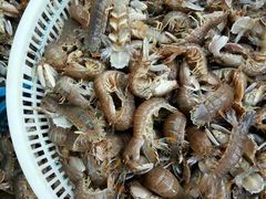 莱州人做的正宗莱州湾海鲜-三乐海鲜水饺馆