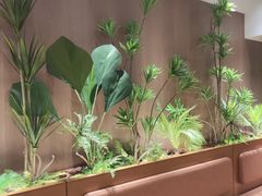 -奈雪的茶(杨家坪万象城店)