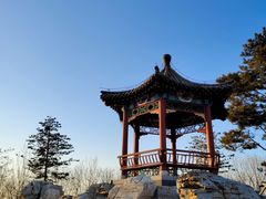 -大兴滨河森林公园