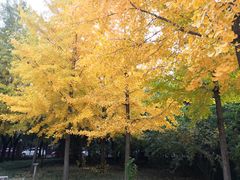 -中国政法大学(昌平校区)