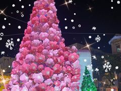 -钜记手信(兴华楼店)