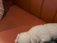 -星聚会KTV(南翔印象城MEGA店)