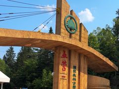 -五营红松林海景区