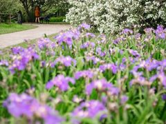 -上海共青森林公园