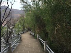 -南诏风情岛