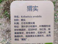 -老君堂公园
