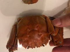 -长沙北辰洲际酒店-兰调全日餐厅