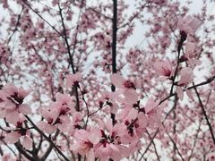 -元大都城垣遗址公园