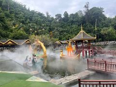 -西双版纳原始森林公园