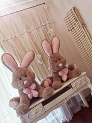 -美肤盾祛痘·问题肌头疗管理中心