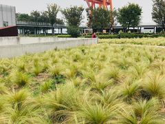 -Manner Coffee(芮欧百货店)
