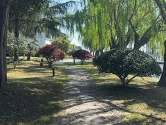 -同里湖度假村(二期店)