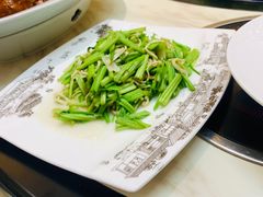 -丁老爷子苏香圆