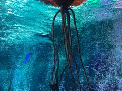 -沈阳海洋探索中心