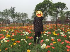 -绵阳盛世樱花悠乐谷