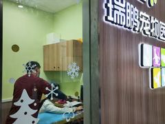 -瑞鹏宠物医院·宠保定点·心脏科·内科(御桥分院)