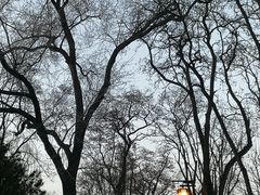 -迎泽公园