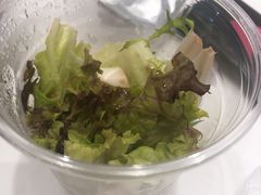 -小杨生煎(湟普汇店)