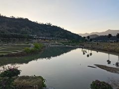 -福建土楼（华安）旅游区•大地土楼群