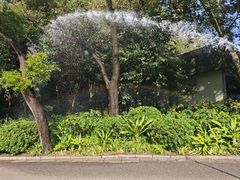 -顺水湾·牛肉牛杂火锅(驾鹤店)