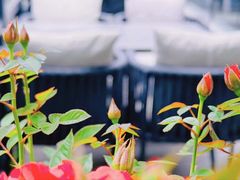 -大妙火锅·非物质文化遗产(东湖公园店)