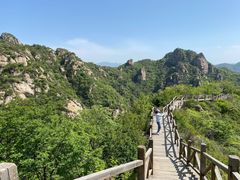 -大岭沟猕猴桃谷风景区