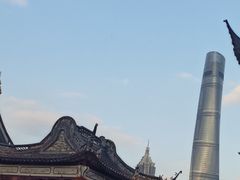 -老桐椿 · 上海大馄饨