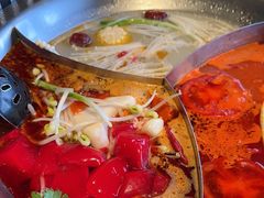 -辣伍鲜毛肚老火锅(元一店)