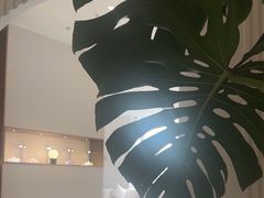 -泉·颂钵冥想·减压·疗愈SPA(前海店)