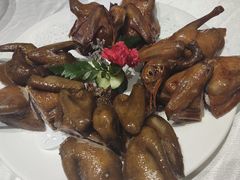 光明乳鸽-光明招待所(邦凯科技园店)